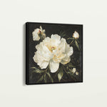 Floral 1314 Canvas Art 16" x 16" / 40 x 40 cm / Black