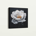 Floral 1319 Canvas Art 16" x 16" / 40 x 40 cm / Black
