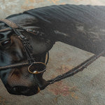 Horses 141 Canvas Art 60 x 40 cm / Black
