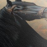 Horses 142 Canvas Art 60 x 40 cm / Black