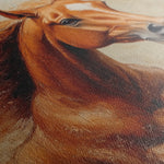 Horses 154 Canvas Art 18" x 24" / 45 x 60 cm / Black