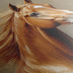 Horses 157 Canvas Art 18" x 24" / 45 x 60 cm / Black
