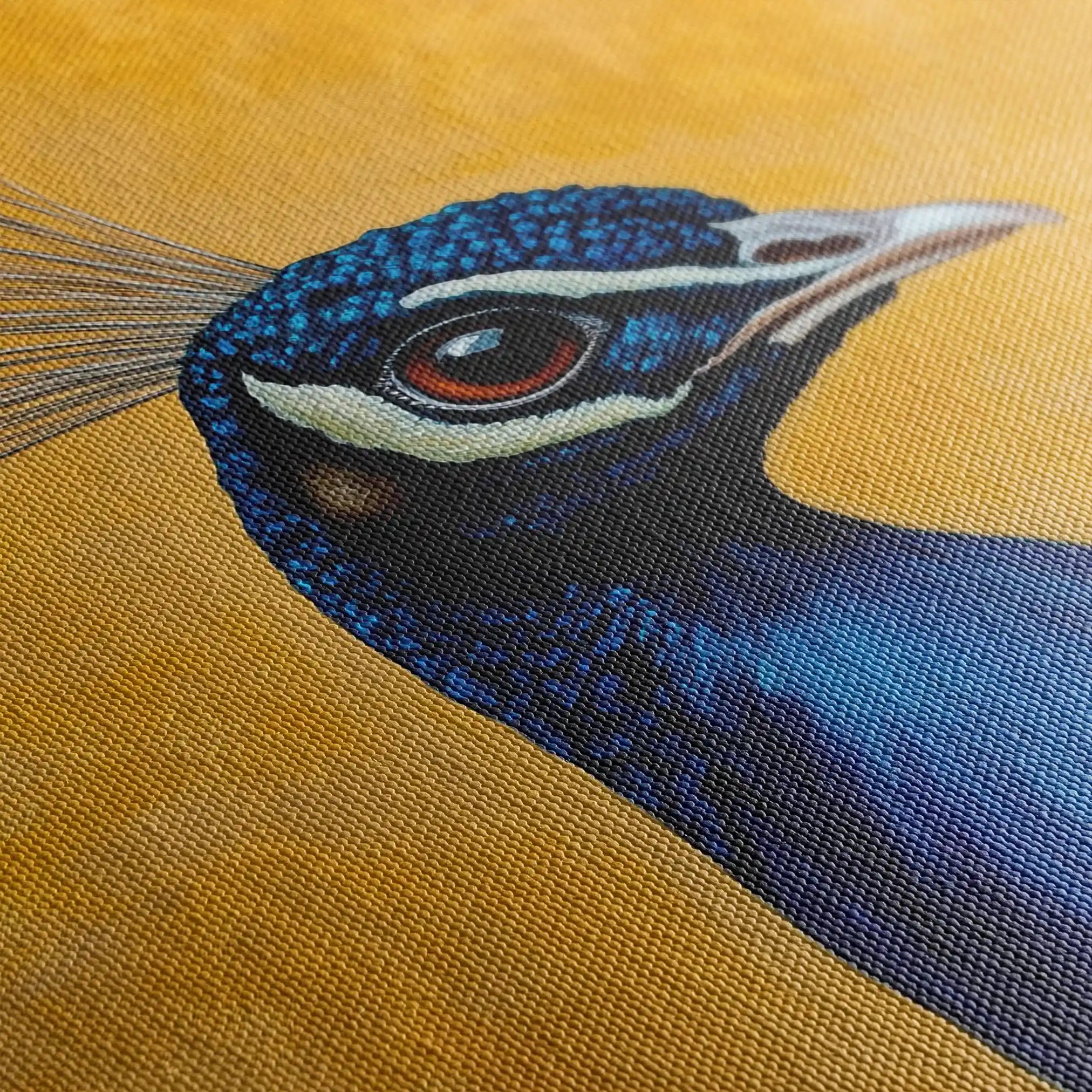 Animals 164 Canvas Art 60 x 40 cm / Black