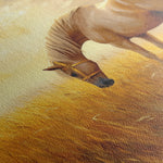 Horses 164 Canvas Art 18" x 24" / 45 x 60 cm / Black