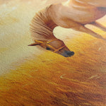 Horses 164 Canvas Art 60 x 40 cm / Black