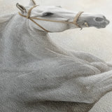 Horses 174 Canvas Art 18" x 24" / 45 x 60 cm / Black