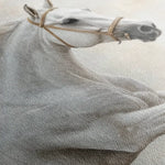 Horses 174 Canvas Art 60 x 40 cm / Black