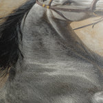 Horses 177 Canvas Art 18" x 24" / 45 x 60 cm / Black