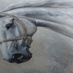 Horses 178 Canvas Art 18" x 24" / 45 x 60 cm / Black