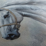 Horses 178 Canvas Art 60 x 40 cm / Black