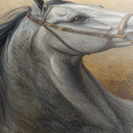 Horses 181 Canvas Art 18" x 24" / 45 x 60 cm / Black