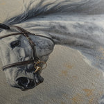 Horses 183 Canvas Art 18" x 24" / 45 x 60 cm / Black
