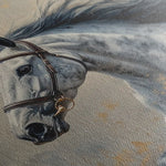 Horses 183 Canvas Art 60 x 40 cm / Black