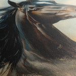 Horses 188 Canvas Art 60 x 40 cm / Black