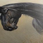 Horses 193 Canvas Art 18" x 24" / 45 x 60 cm / Black