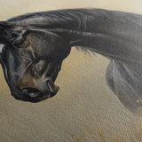 Horses 193 Canvas Art 18" x 24" / 45 x 60 cm / Black