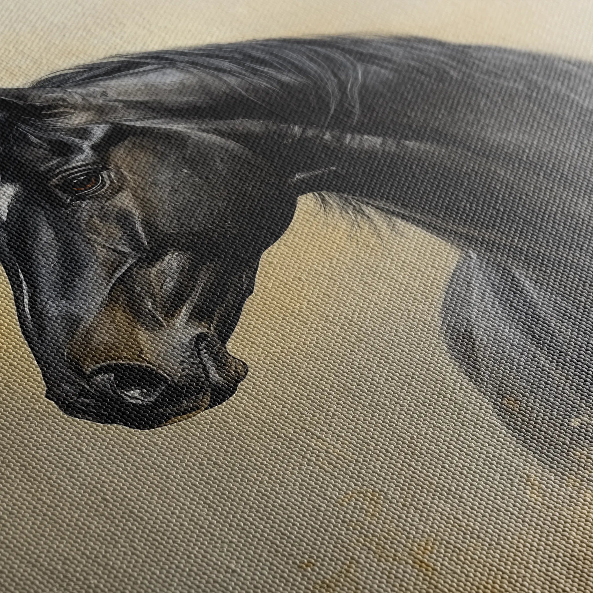 Horses 193 Canvas Art 18" x 24" / 45 x 60 cm / Black