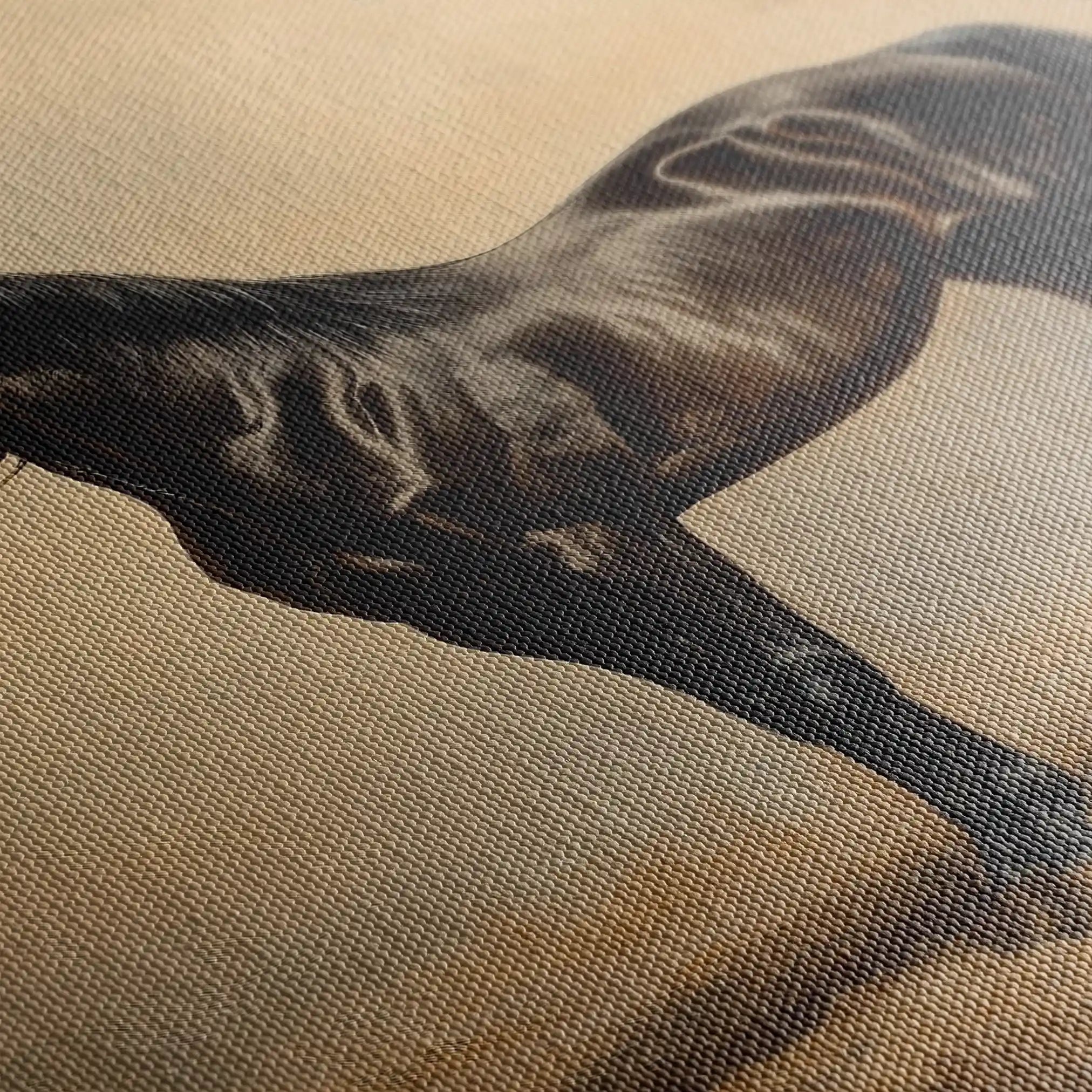 Horses 199 Canvas Art 60 x 40 cm / Black