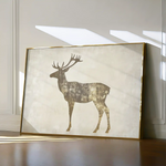 Animals 204 Canvas Art 60 x 40 cm / Black
