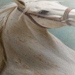 Horses 207 Canvas Art 18" x 24" / 45 x 60 cm / Black