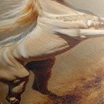 Horses 208 Canvas Art 18" x 24" / 45 x 60 cm / Black