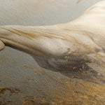 Horses 213 Canvas Art 18" x 24" / 45 x 60 cm / Black