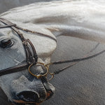 Horses 216 Canvas Art 18" x 24" / 45 x 60 cm / Black