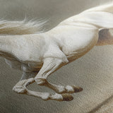 Horses 218 Canvas Art 18" x 24" / 45 x 60 cm / Black
