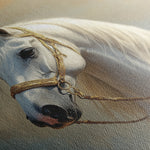 Horses 221 Canvas Art 18" x 24" / 45 x 60 cm / Black