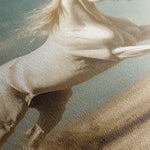 Horses 223 Canvas Art 18" x 24" / 45 x 60 cm / Black