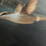 Animals 226 Canvas Art 18" x 24" / 45 x 60 cm / Black