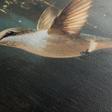 Animals 226 Canvas Art 18" x 24" / 45 x 60 cm / Black