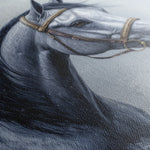 Horses 226 Canvas Art 18" x 24" / 45 x 60 cm / Black