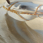 Horses 228 Canvas Art 18" x 24" / 45 x 60 cm / Black