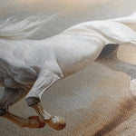 Horses 229 Canvas Art 60 x 40 cm / Black