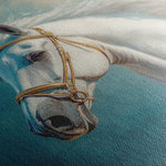 Horses 231 Canvas Art 60 x 40 cm / Black