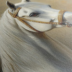 Horses 237 Canvas Art 18" x 24" / 45 x 60 cm / Black