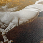 Horses 240 Canvas Art 60 x 40 cm / Black