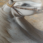 Horses 242 Canvas Art 18" x 24" / 45 x 60 cm / Black