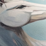 Horses 269 Canvas Art 18" x 24" / 45 x 60 cm / Black